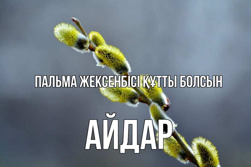 Күн сайын ашық хат с именем, Айдар Пальма жексенбісі құтты болсын верба Онлайн тегін жүктеп алу тілектері бар керемет карта 