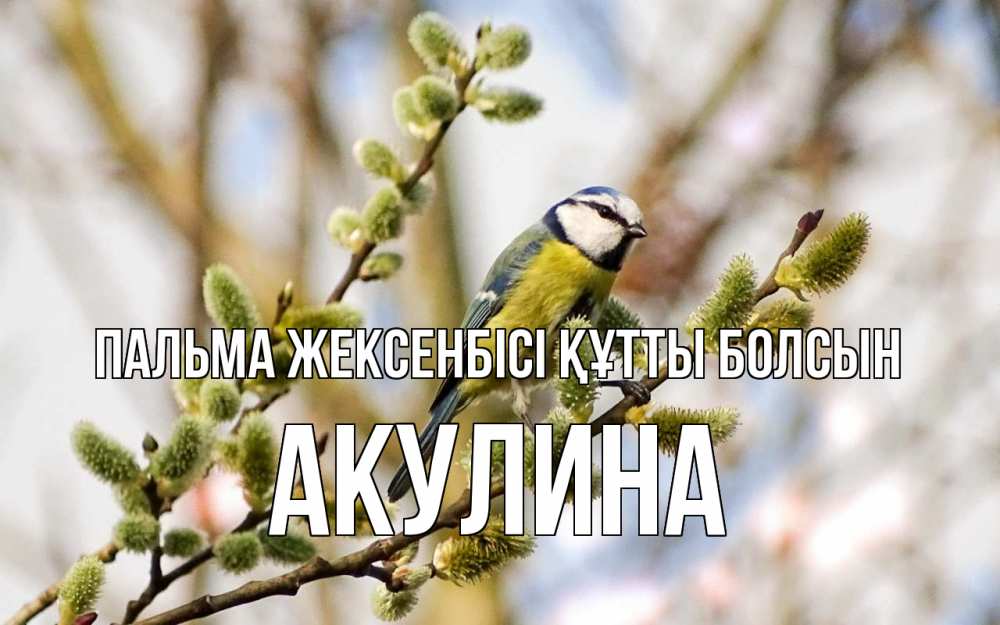 Күн сайын ашық хат с именем, Акулина Пальма жексенбісі құтты болсын верба Онлайн тегін жүктеп алу тілектері бар керемет карта 