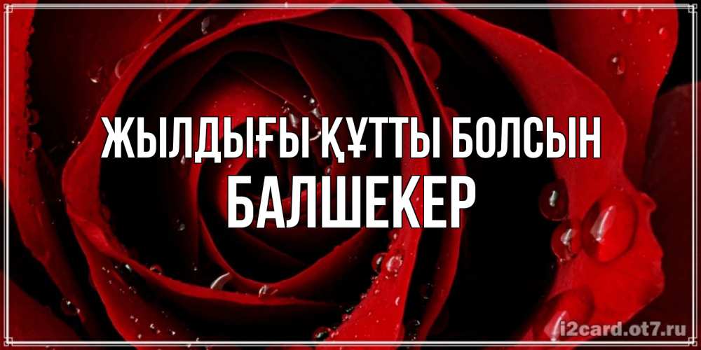 Күн сайын ашық хат с именем, БАЛШЕКЕР Жылдығы құтты болсын крупная бордовая роза Онлайн тегін жүктеп алу тілектері бар керемет карта 
