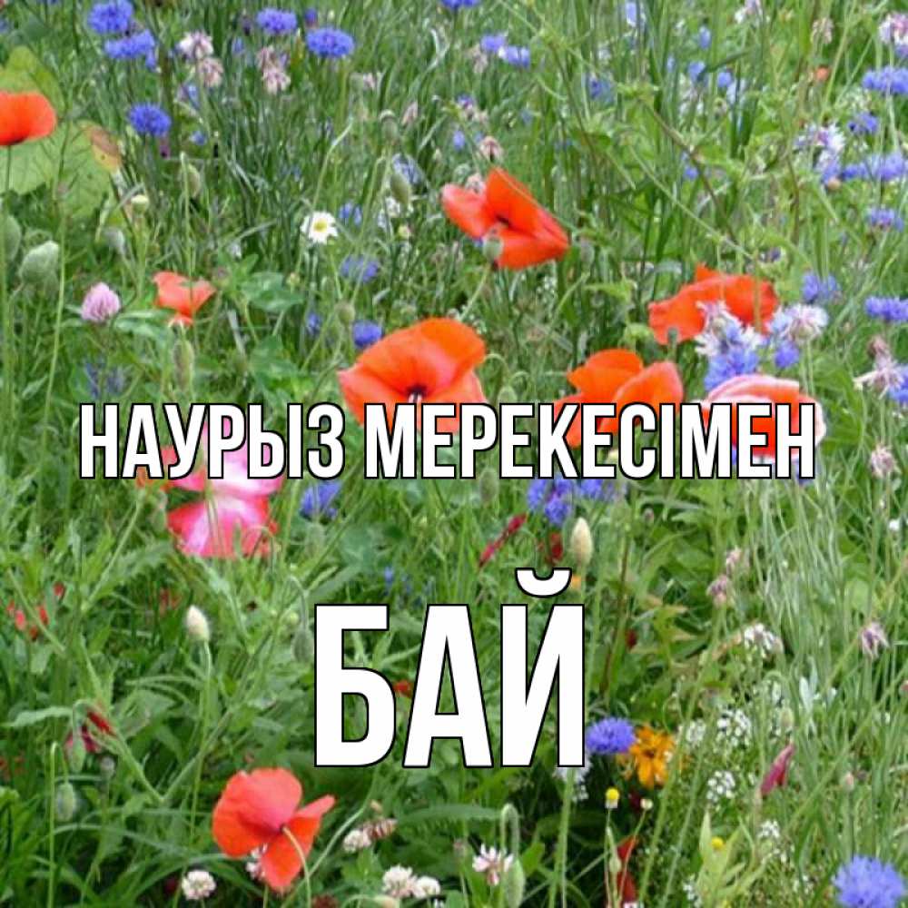 Күн сайын ашық хат с именем, Бай Наурыз мерекесімен праздник весны наурыз супер открытка Онлайн тегін жүктеп алу тілектері бар керемет карта 