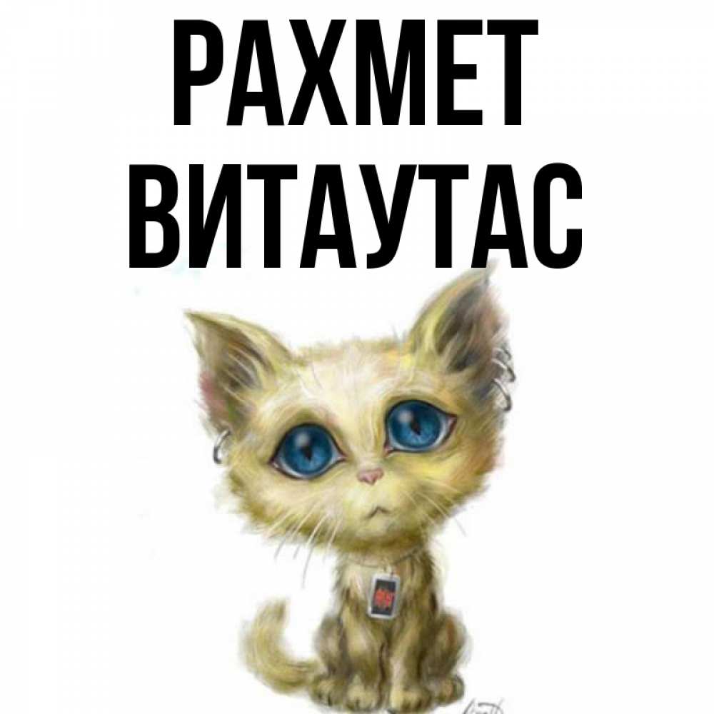 Күн сайын ашық хат с именем, Витаутас рахмет рисованный кот благодарит вас Онлайн тегін жүктеп алу тілектері бар керемет карта 