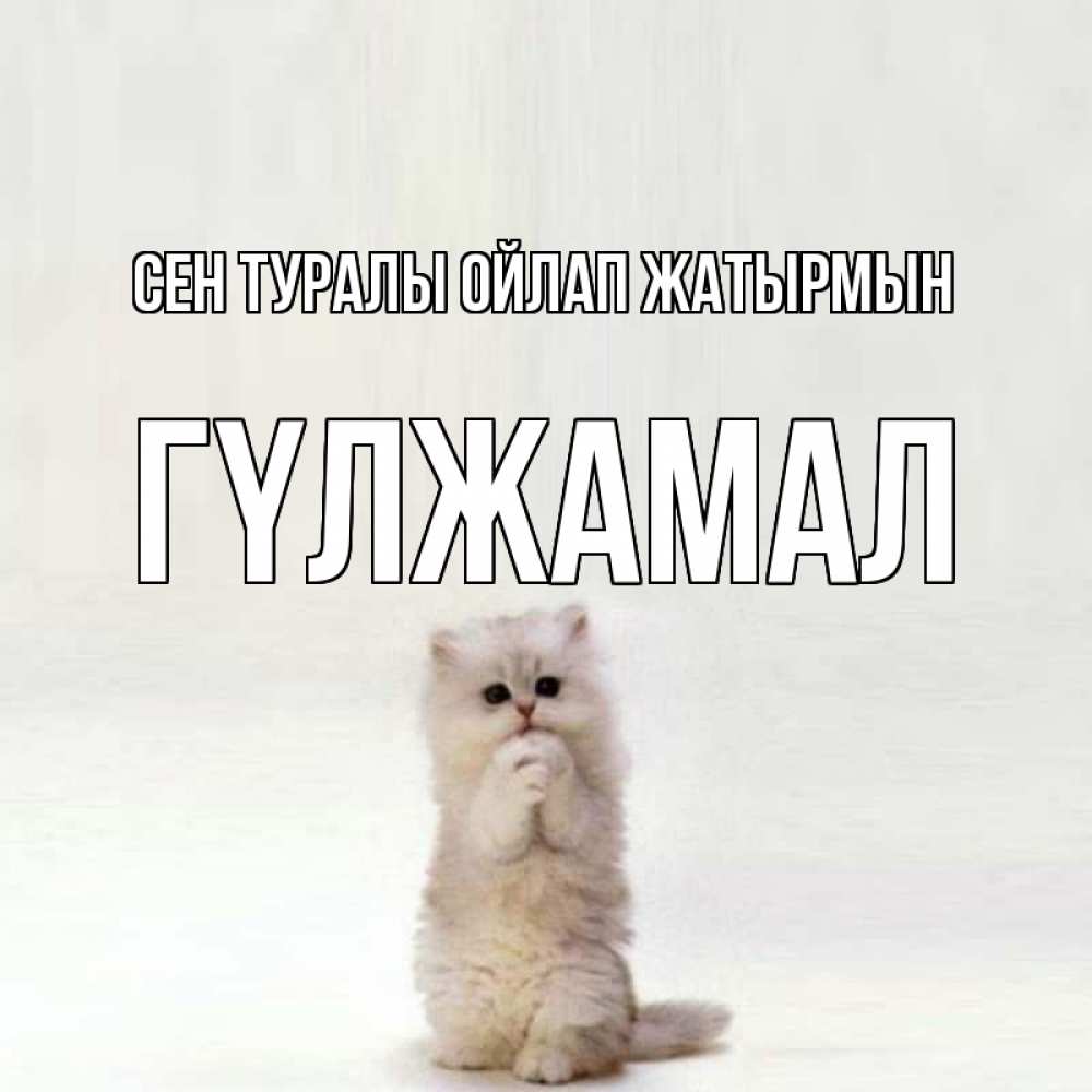 Күн сайын ашық хат с именем, ГҮЛЖАМАЛ Сен туралы ойлап жатырмын кот стоит на задних лапах Онлайн тегін жүктеп алу тілектері бар керемет карта 