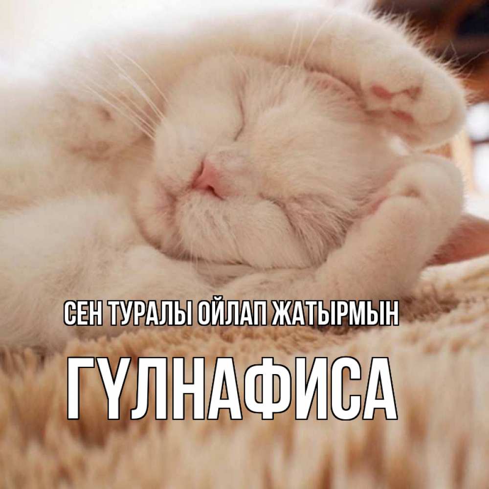 Күн сайын ашық хат с именем, ГҮЛНАФИСА Сен туралы ойлап жатырмын для любимой девушки милота Онлайн тегін жүктеп алу тілектері бар керемет карта 