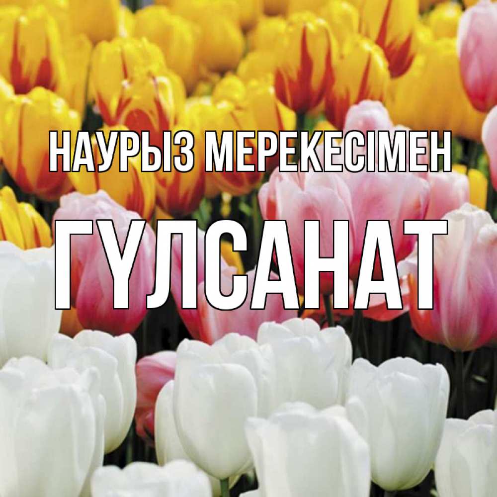 Күн сайын ашық хат с именем, ГҮЛСАНАТ Наурыз мерекесімен разноцветные цветы Онлайн тегін жүктеп алу тілектері бар керемет карта 