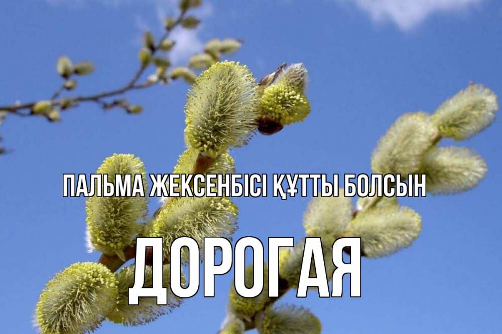 Күн сайын ашық хат с именем, Дорогая Пальма жексенбісі құтты болсын верба Онлайн тегін жүктеп алу тілектері бар керемет карта 