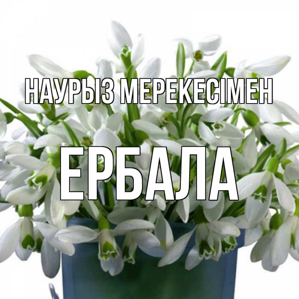 Күн сайын ашық хат с именем, Ербала Наурыз мерекесімен цветы к наурызу новый год в Казахстане Онлайн тегін жүктеп алу тілектері бар керемет карта 