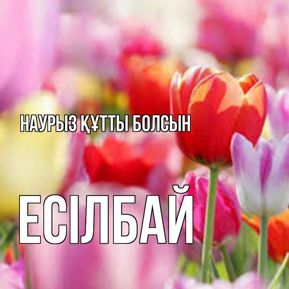 Күн сайын ашық хат с именем, Есілбай Наурыз құтты болсын на наурыз  2 Онлайн тегін жүктеп алу тілектері бар керемет карта 