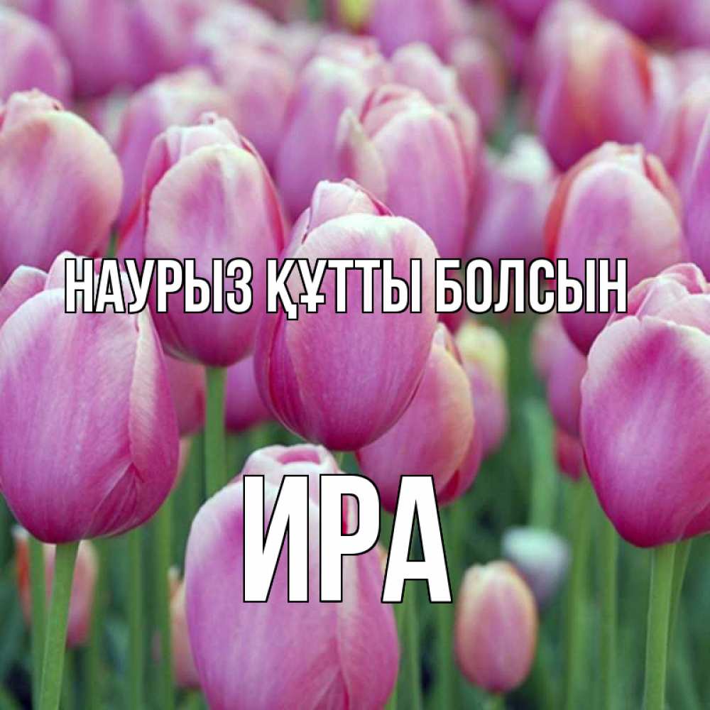 Күн сайын ашық хат с именем, Ира Наурыз құтты болсын на наурыз  день 3 Онлайн тегін жүктеп алу тілектері бар керемет карта 