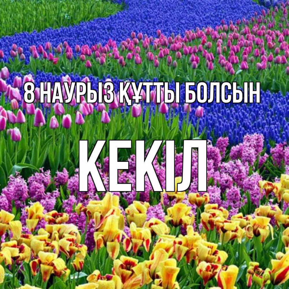 Күн сайын ашық хат с именем, Кекіл 8 наурыз құтты болсын цветы Онлайн тегін жүктеп алу тілектері бар керемет карта 