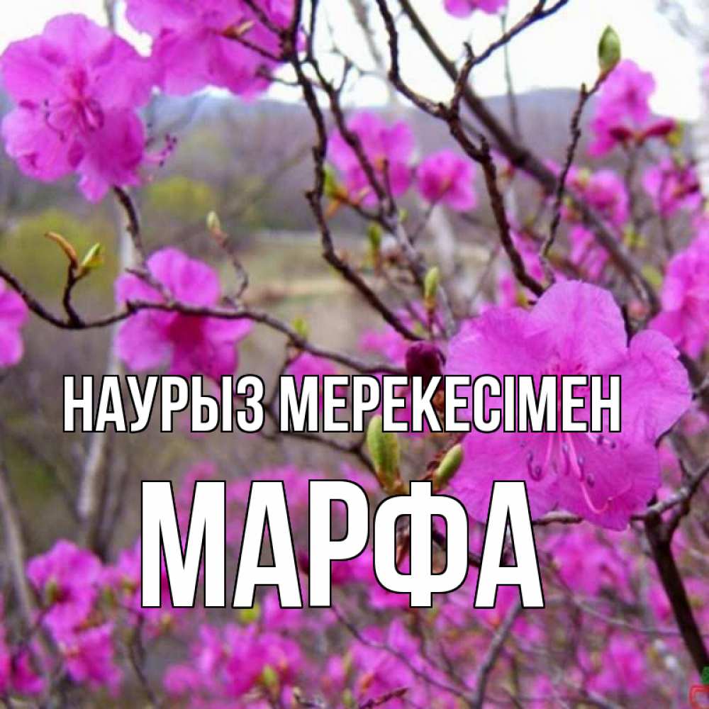 Күн сайын ашық хат с именем, Марфа Наурыз мерекесімен праздник весны наурыз Онлайн тегін жүктеп алу тілектері бар керемет карта 