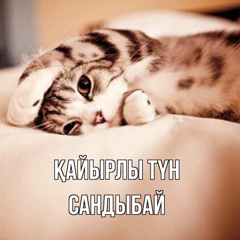 Күн сайын ашық хат с именем, САНДЫБАЙ Қайырлы түн сладких снов с животными Онлайн тегін жүктеп алу тілектері бар керемет карта 