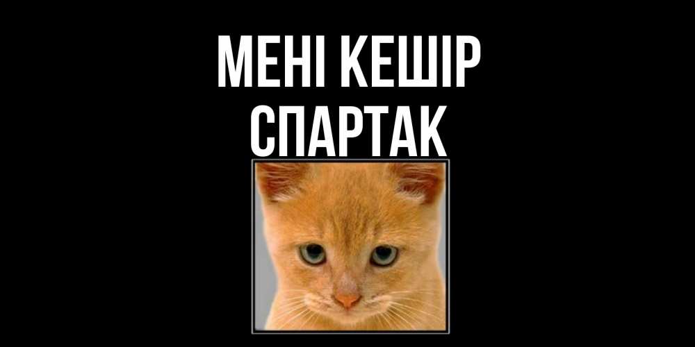 Күн сайын ашық хат с именем, Спартак Мені кешір рыжий грустный кот просит прощения Онлайн тегін жүктеп алу тілектері бар керемет карта 