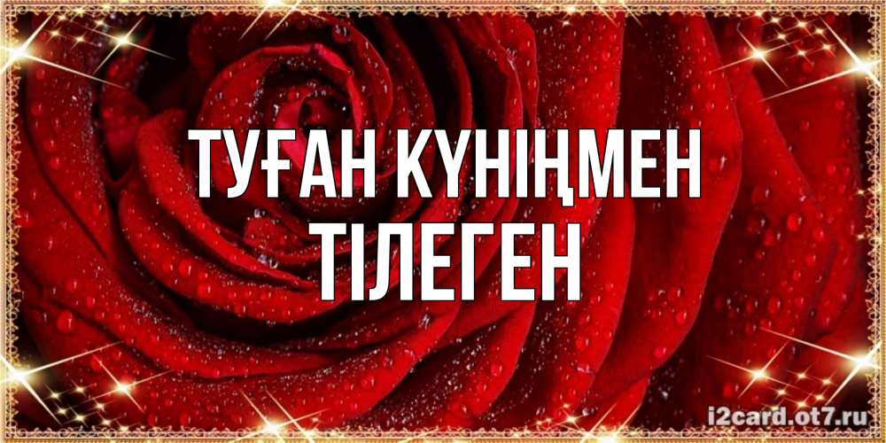Күн сайын ашық хат с именем, ТІЛЕГЕН Туған күніңмен роса на розе блестящая в лучах солнца Онлайн тегін жүктеп алу тілектері бар керемет карта 
