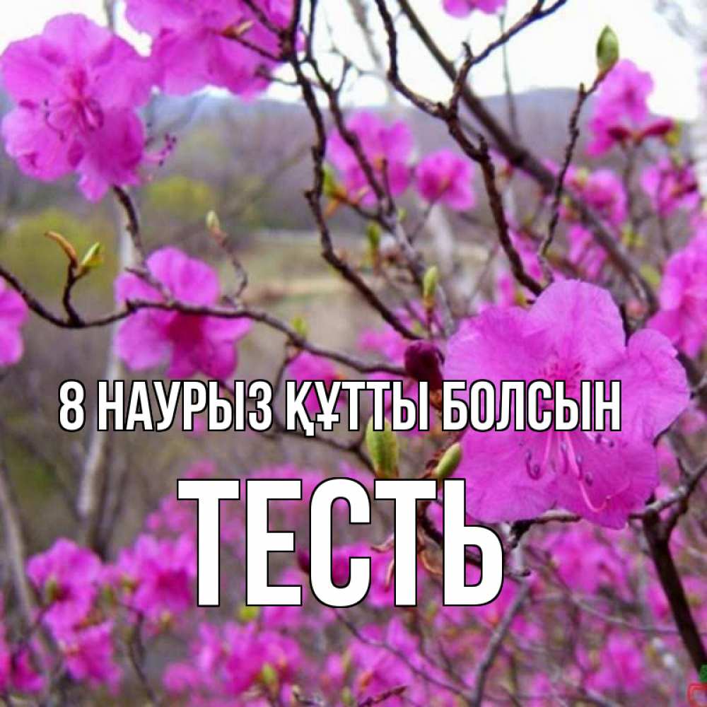 Күн сайын ашық хат с именем, Тесть 8 наурыз құтты болсын международный женский день Онлайн тегін жүктеп алу тілектері бар керемет карта 