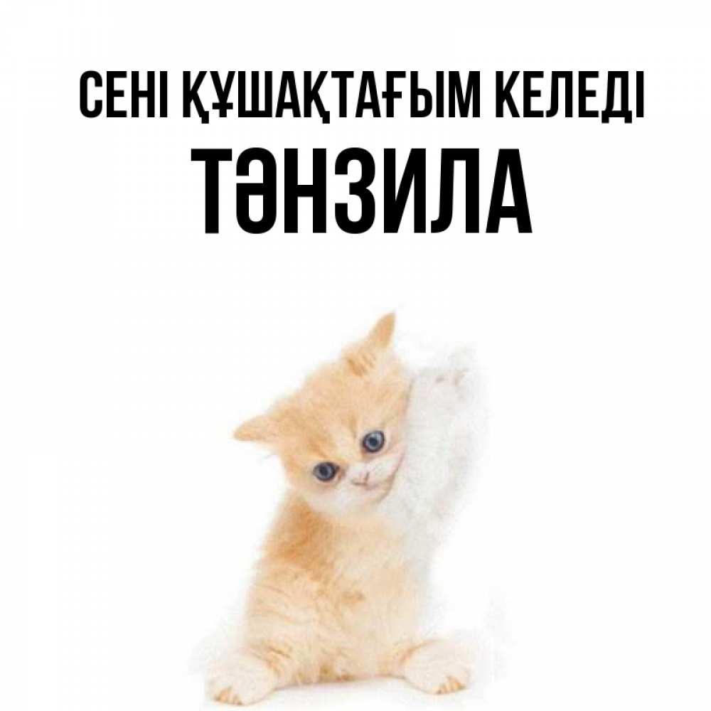Күн сайын ашық хат с именем, ТӘНЗИЛА сені құшақтағым келеді я хочу очень скорее обнимаешек Онлайн тегін жүктеп алу тілектері бар керемет карта 