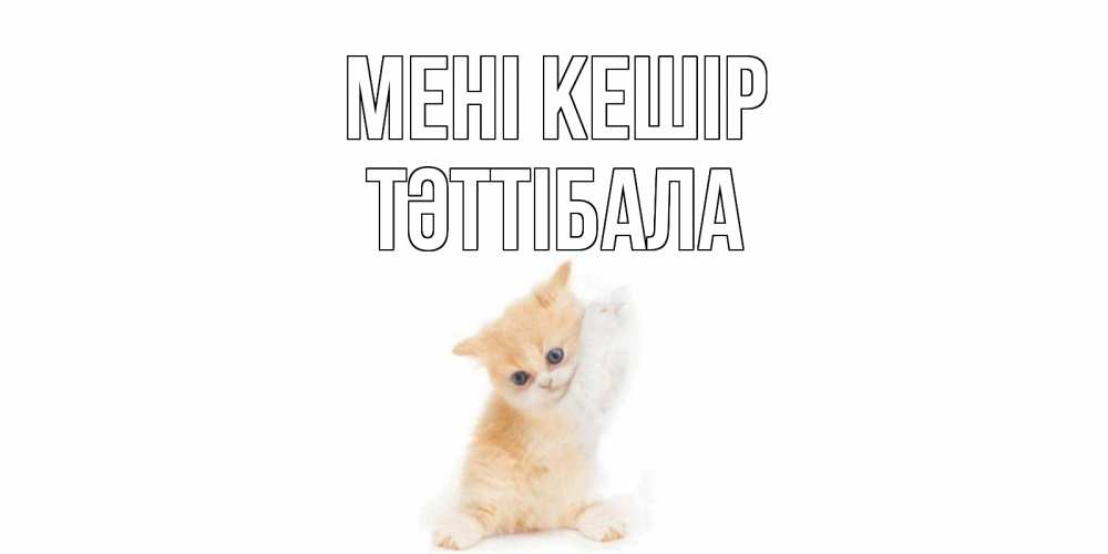 Күн сайын ашық хат с именем, ТӘТТІБАЛА Мені кешір кот Онлайн тегін жүктеп алу тілектері бар керемет карта 