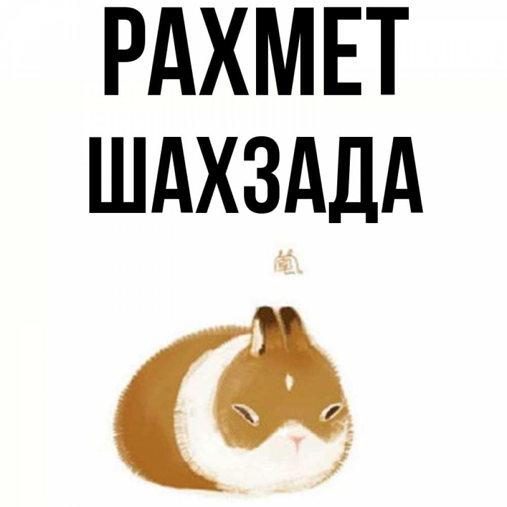 Күн сайын ашық хат с именем, ШАХЗАДА рахмет коричнево белый домашний питомец Онлайн тегін жүктеп алу тілектері бар керемет карта 