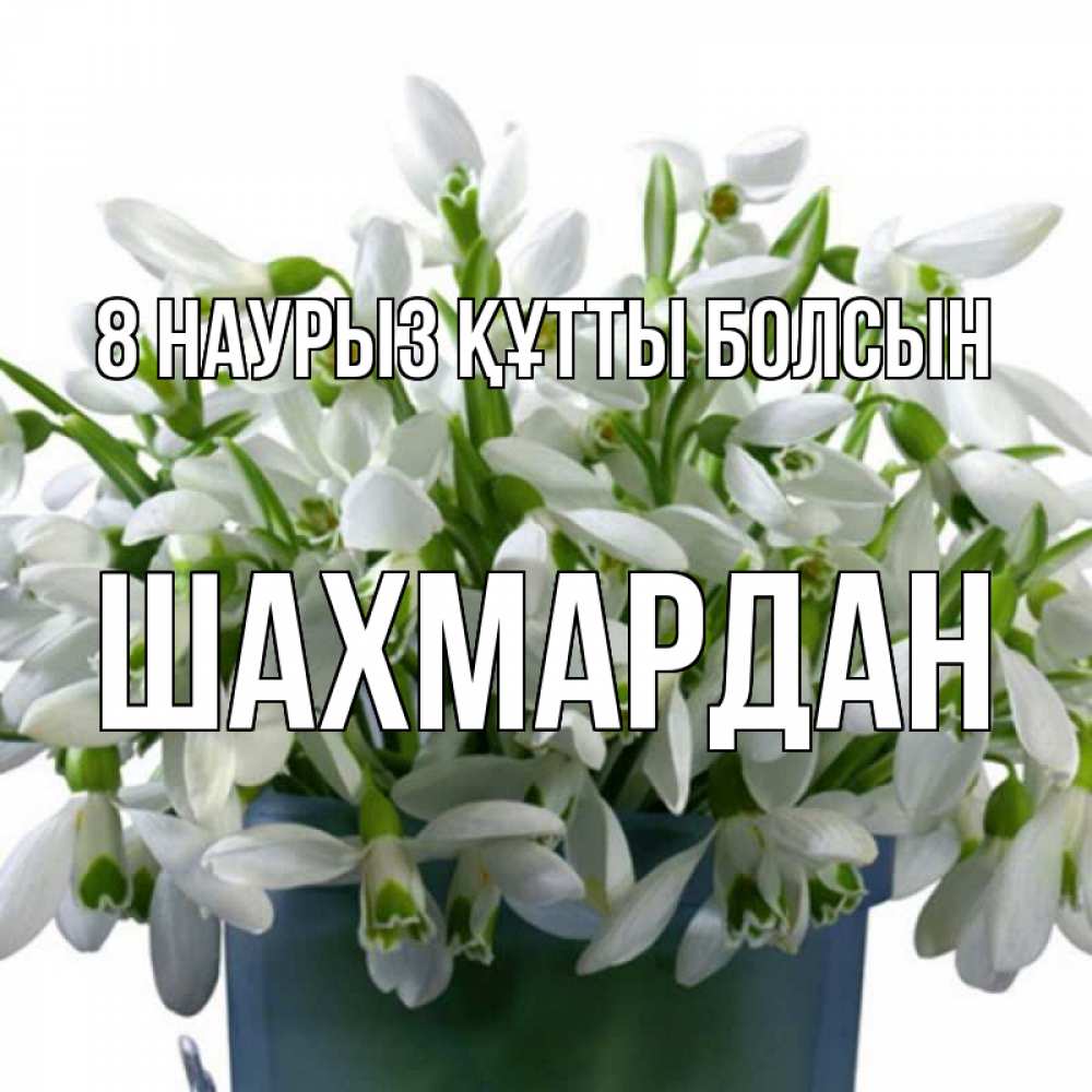 Күн сайын ашық хат с именем, ШАХМАРДАН 8 наурыз құтты болсын цветы к международному женскому дню Онлайн тегін жүктеп алу тілектері бар керемет карта 
