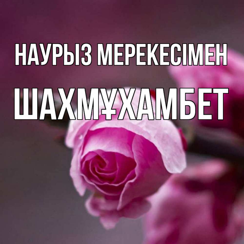 Күн сайын ашық хат с именем, ШАХМҰХАМБЕТ Наурыз мерекесімен весна Онлайн тегін жүктеп алу тілектері бар керемет карта 
