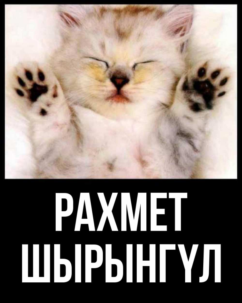 Күн сайын ашық хат с именем, ШЫРЫНГҮЛ рахмет маленький котенок Онлайн тегін жүктеп алу тілектері бар керемет карта 
