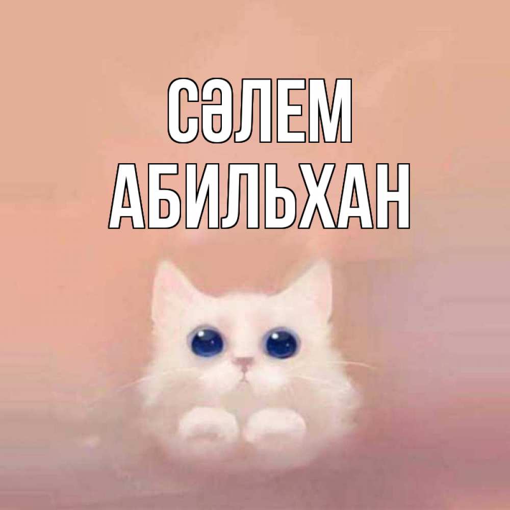 Күн сайын ашық хат с именем, Абильхан Сәлем котик белый в полете Онлайн тегін жүктеп алу тілектері бар керемет карта 