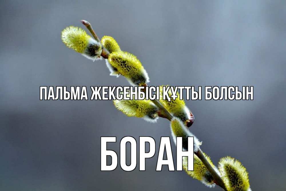 Күн сайын ашық хат с именем, Боран Пальма жексенбісі құтты болсын верба Онлайн тегін жүктеп алу тілектері бар керемет карта 