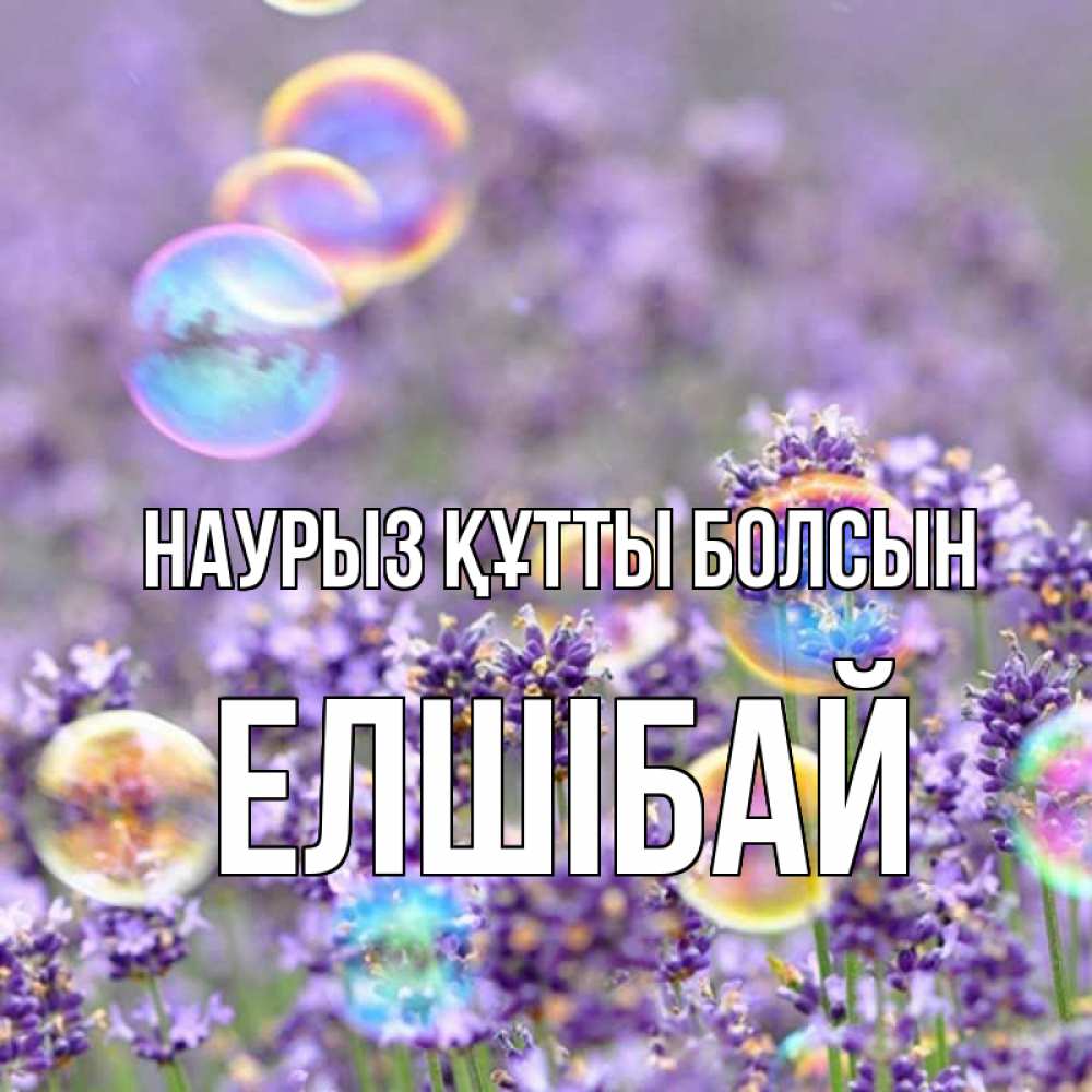 Күн сайын ашық хат с именем, Елшібай Наурыз құтты болсын цветы Онлайн тегін жүктеп алу тілектері бар керемет карта 