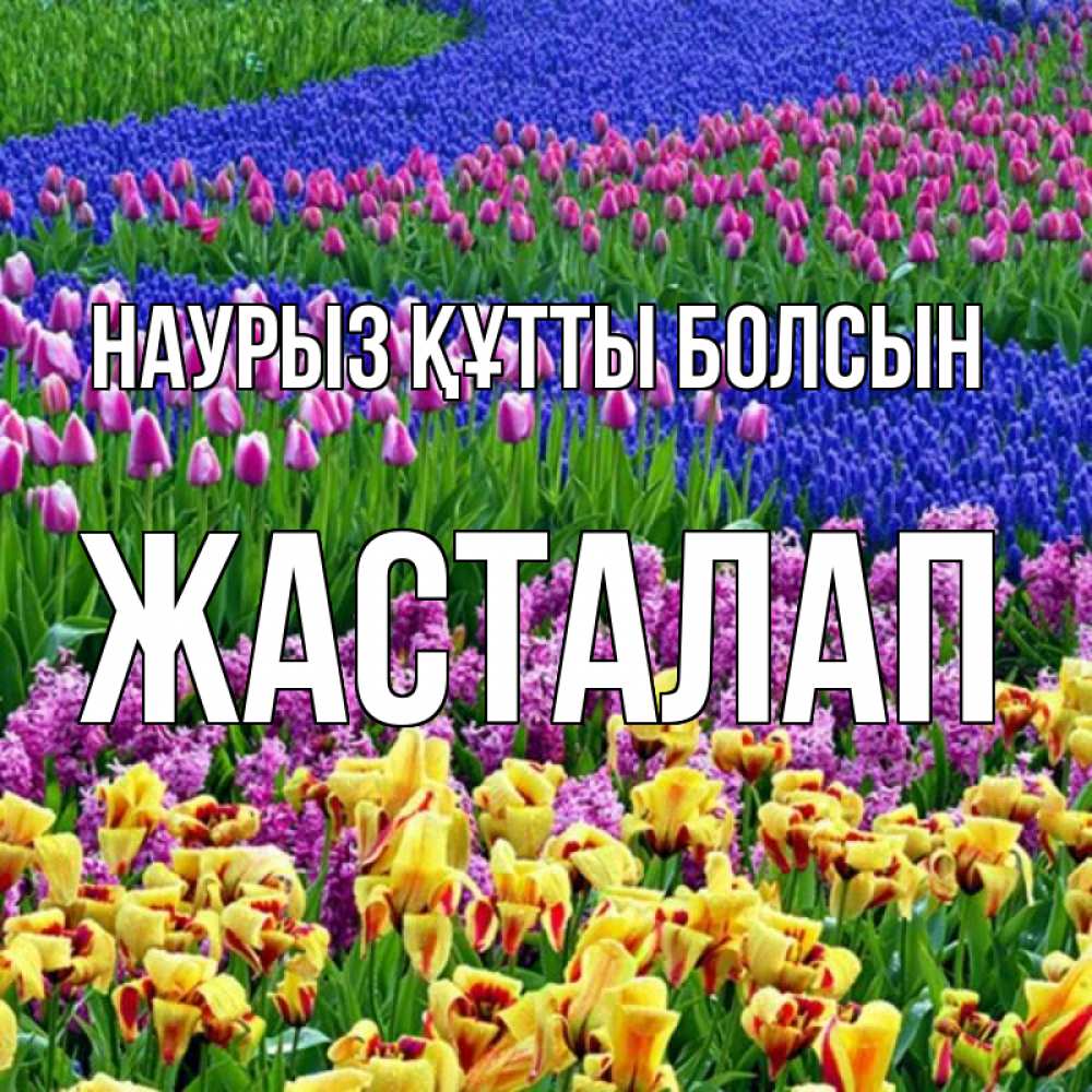 Күн сайын ашық хат с именем, Жасталап Наурыз құтты болсын цветы Онлайн тегін жүктеп алу тілектері бар керемет карта 
