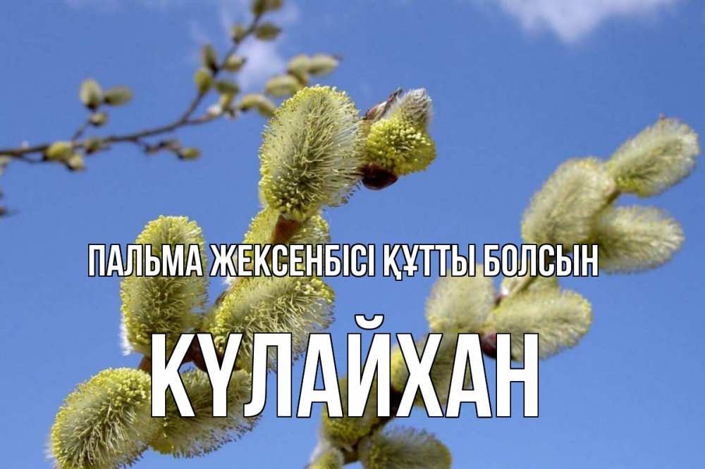 Күн сайын ашық хат с именем, КҮЛАЙХАН Пальма жексенбісі құтты болсын верба Онлайн тегін жүктеп алу тілектері бар керемет карта 