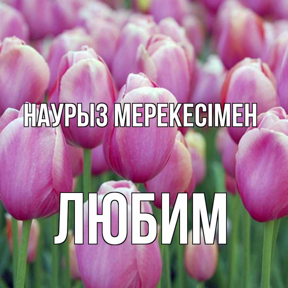 Күн сайын ашық хат с именем, Любим Наурыз мерекесімен праздник весны наурыз 69 Онлайн тегін жүктеп алу тілектері бар керемет карта 