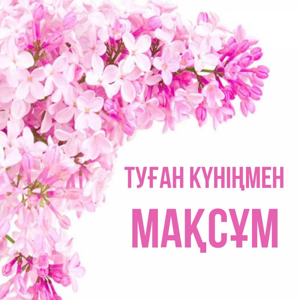 Күн сайын ашық хат с именем, МАҚСҰМ Туған күніңмен Сирень на белом фоне Онлайн тегін жүктеп алу тілектері бар керемет карта 