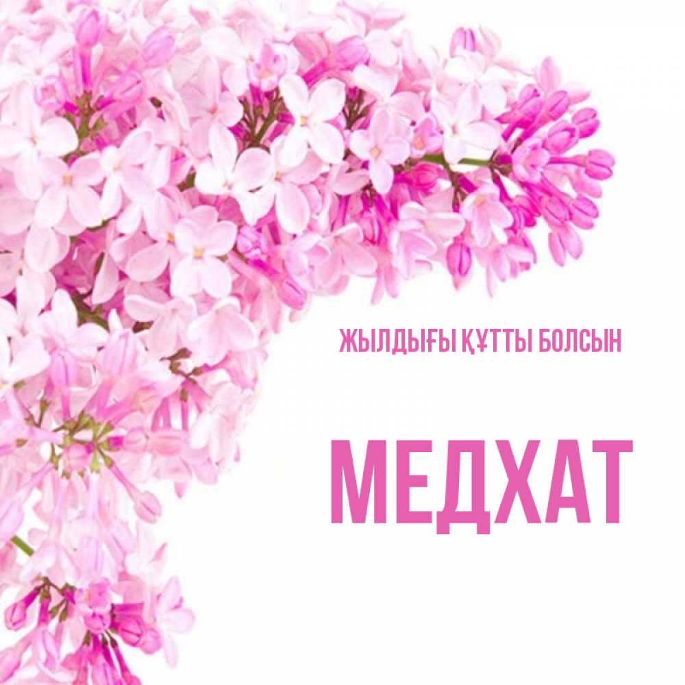 Күн сайын ашық хат с именем, МЕДХАТ Жылдығы құтты болсын Сирень на белом фоне Онлайн тегін жүктеп алу тілектері бар керемет карта 