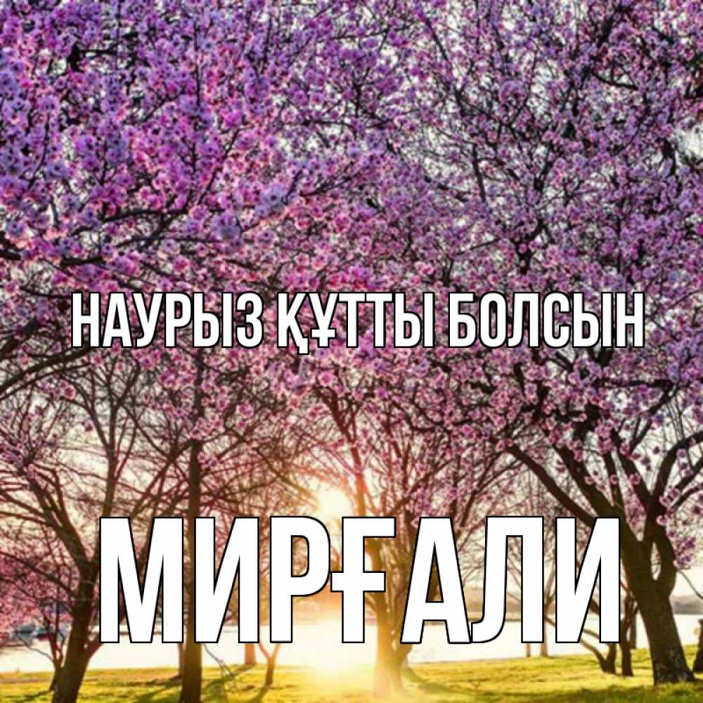 Күн сайын ашық хат с именем, МИРҒАЛИ Наурыз құтты болсын наурыз Онлайн тегін жүктеп алу тілектері бар керемет карта 