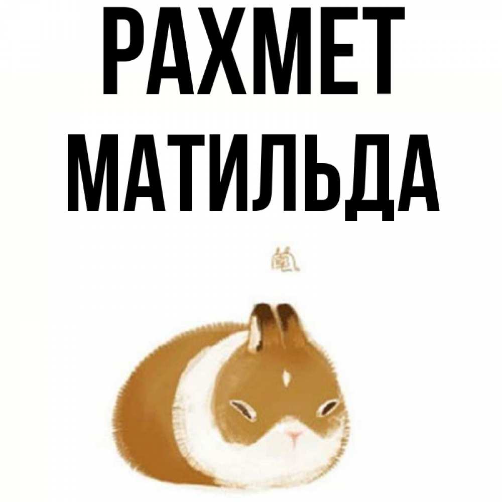 Күн сайын ашық хат с именем, Матильда рахмет коричнево белый домашний питомец Онлайн тегін жүктеп алу тілектері бар керемет карта 