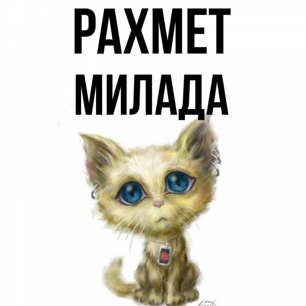 Күн сайын ашық хат с именем, Милада рахмет рисованный кот благодарит вас Онлайн тегін жүктеп алу тілектері бар керемет карта 