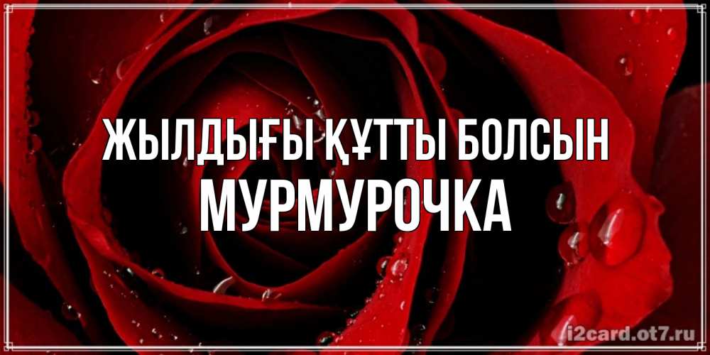 Күн сайын ашық хат с именем, Мурмурочка Жылдығы құтты болсын крупная бордовая роза Онлайн тегін жүктеп алу тілектері бар керемет карта 