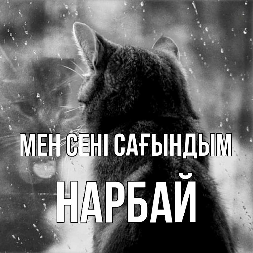 Күн сайын ашық хат с именем, НАРБАЙ Мен сені сағындым скорее ко мне приходи 1 Онлайн тегін жүктеп алу тілектері бар керемет карта 