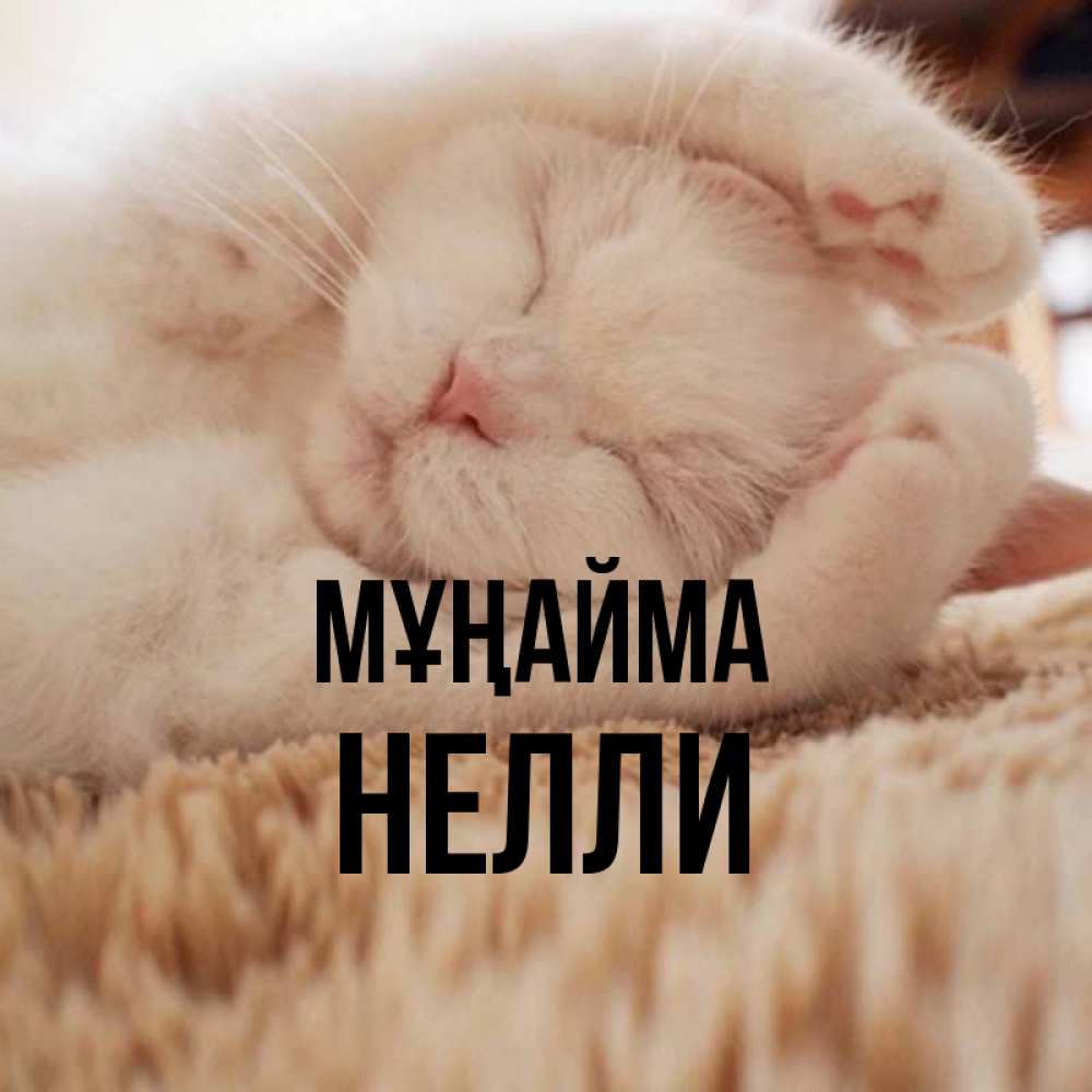 Күн сайын ашық хат с именем, Нелли Мұңайма Котенок спит Онлайн тегін жүктеп алу тілектері бар керемет карта 