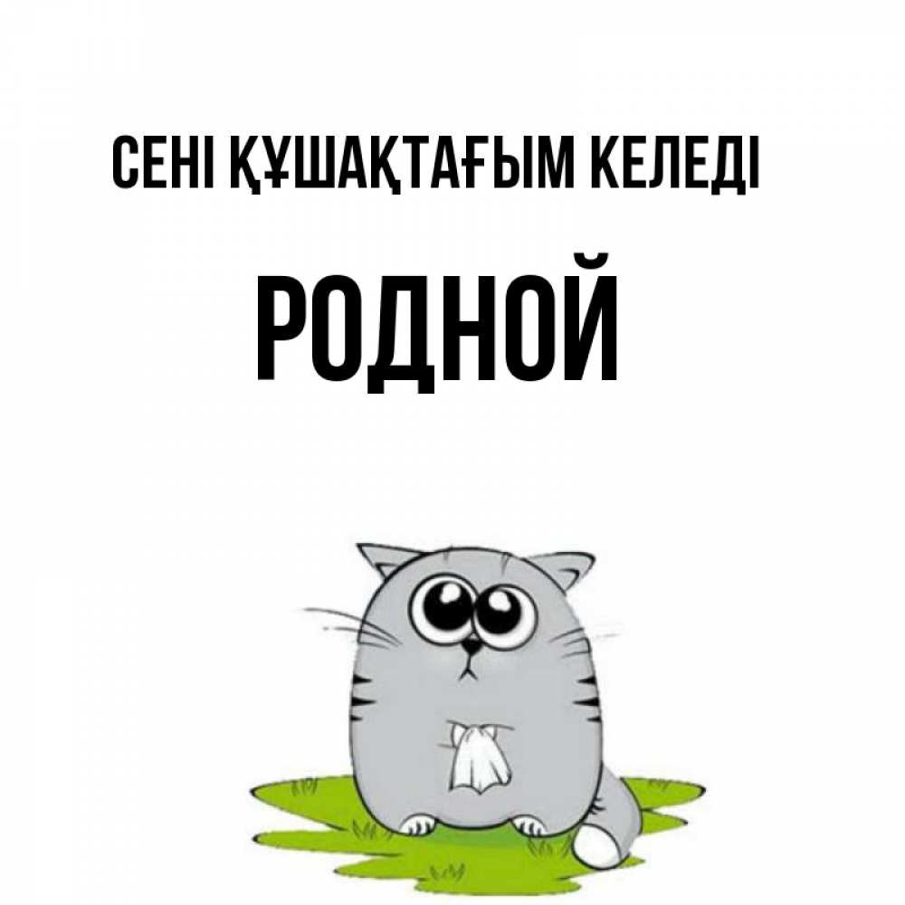 Күн сайын ашық хат с именем, Родной сені құшақтағым келеді котик теребит платочек сидя на травке Онлайн тегін жүктеп алу тілектері бар керемет карта 