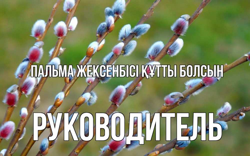 Күн сайын ашық хат с именем, Руководитель Пальма жексенбісі құтты болсын верба Онлайн тегін жүктеп алу тілектері бар керемет карта 