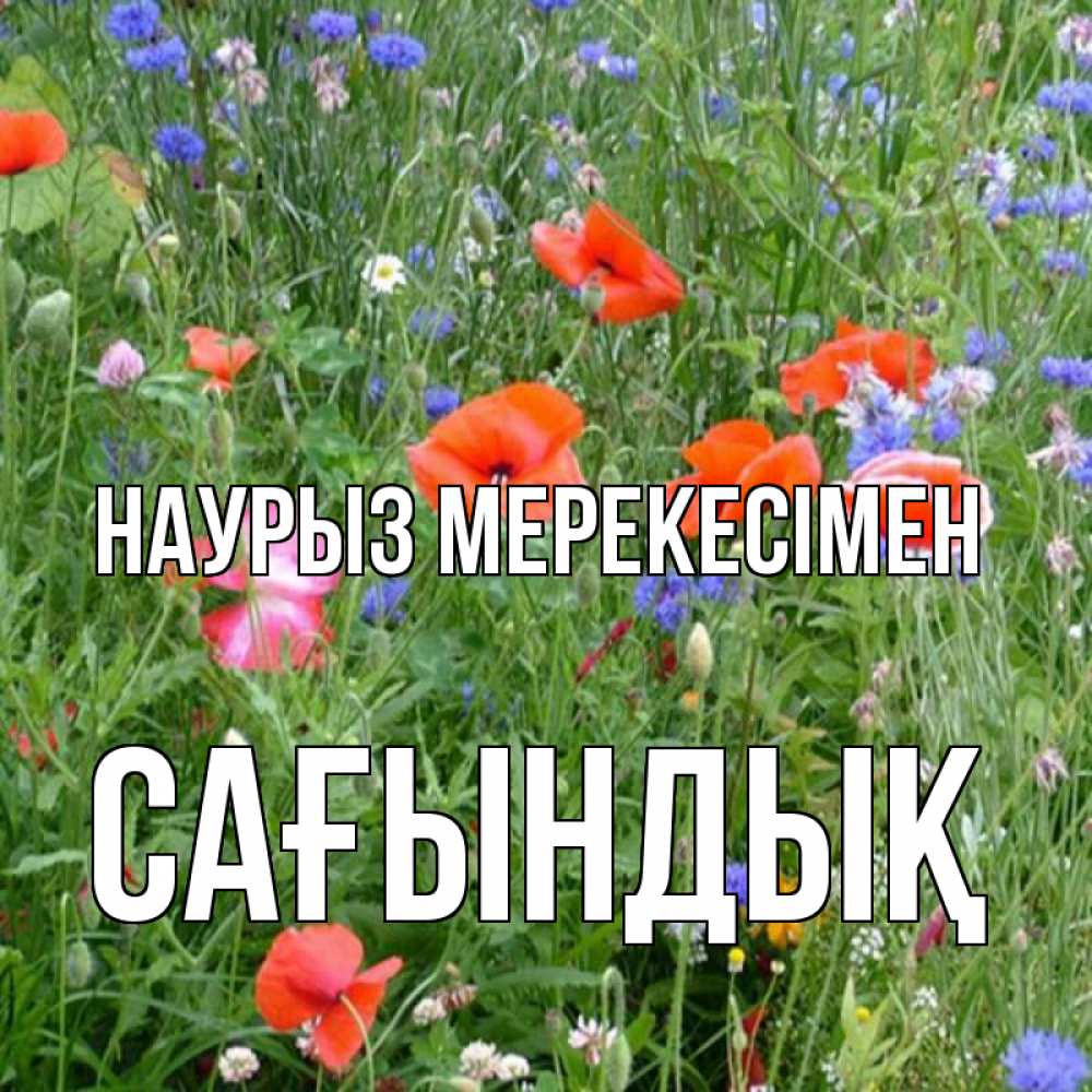 Күн сайын ашық хат с именем, САҒЫНДЫҚ Наурыз мерекесімен праздник весны наурыз супер открытка Онлайн тегін жүктеп алу тілектері бар керемет карта 