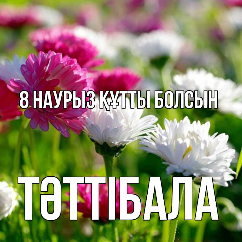 Күн сайын ашық хат с именем, ТӘТТІБАЛА 8 наурыз құтты болсын международный женский день 1 Онлайн тегін жүктеп алу тілектері бар керемет карта 