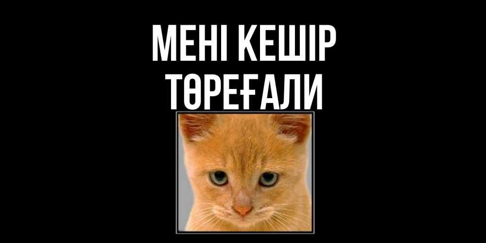 Күн сайын ашық хат с именем, Төреғали Мені кешір рыжий грустный кот просит прощения Онлайн тегін жүктеп алу тілектері бар керемет карта 