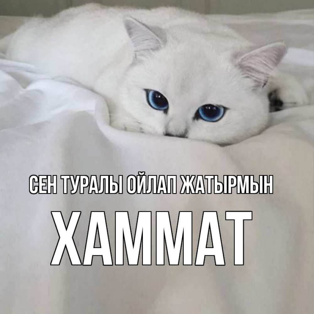 Күн сайын ашық хат с именем, ХАММАТ Сен туралы ойлап жатырмын я очень по тебе скучаю и тоскую Онлайн тегін жүктеп алу тілектері бар керемет карта 