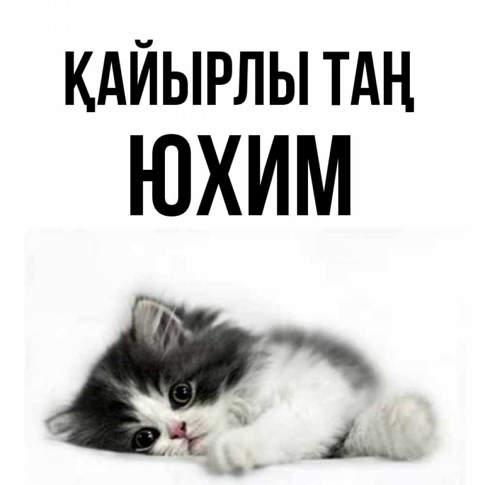 Күн сайын ашық хат с именем, Юхим Қайырлы таң кот лапки Онлайн тегін жүктеп алу тілектері бар керемет карта 