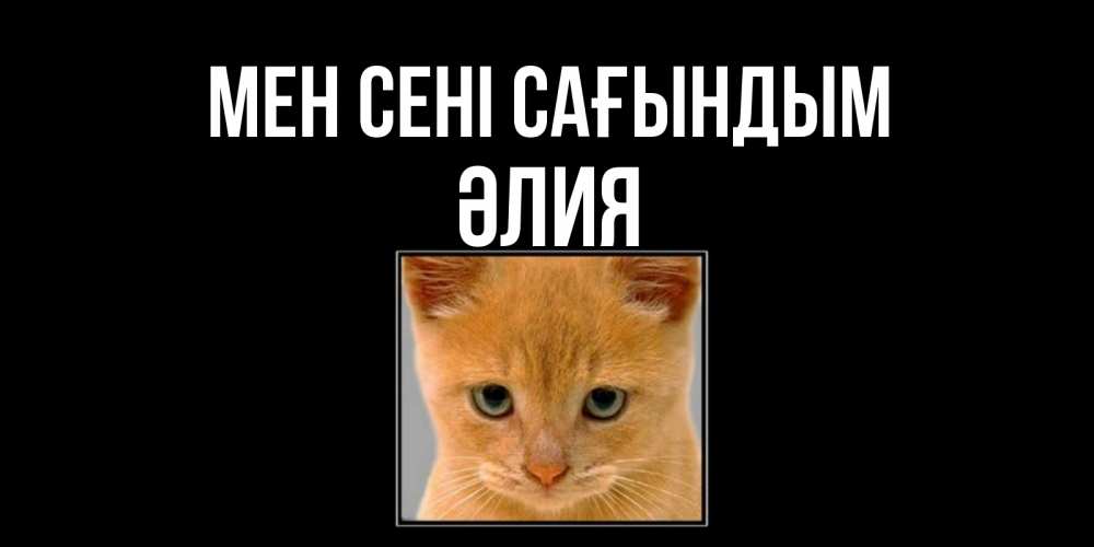 Күн сайын ашық хат с именем, ӘЛИЯ Мен сені сағындым открытки рыжий котенок скучает по тебе Онлайн тегін жүктеп алу тілектері бар керемет карта 