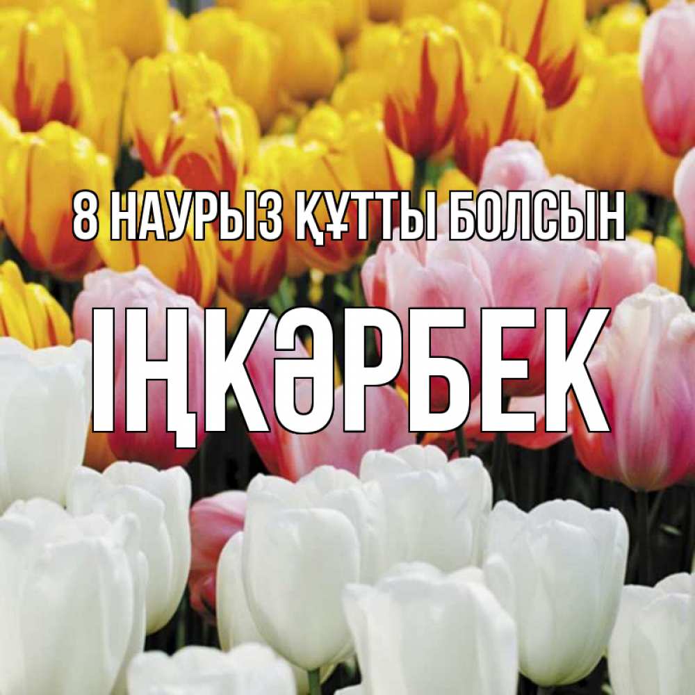 Күн сайын ашық хат с именем, ІҢКӘРБЕК 8 наурыз құтты болсын разноцветные цветы Онлайн тегін жүктеп алу тілектері бар керемет карта 