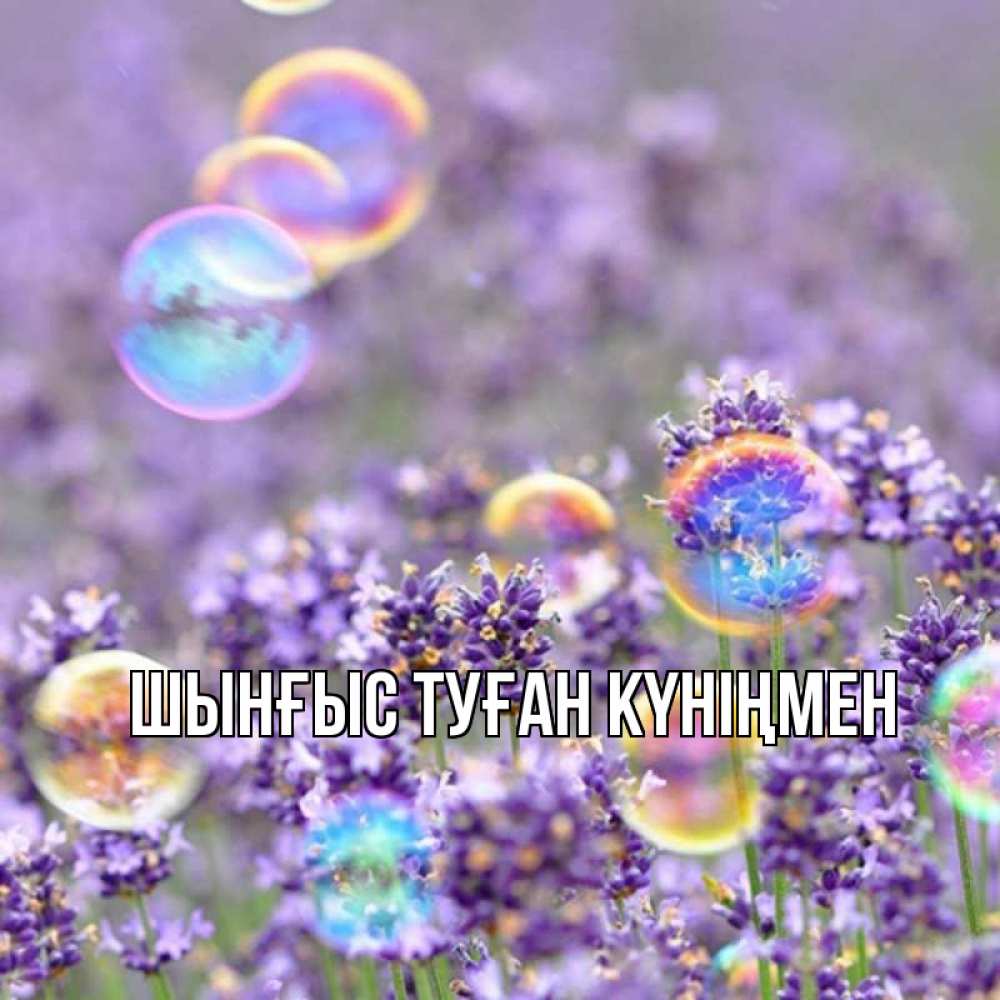 Картинка  с именем , ШЫНҒЫС! ТУҒАН КҮНІҢМЕН!
