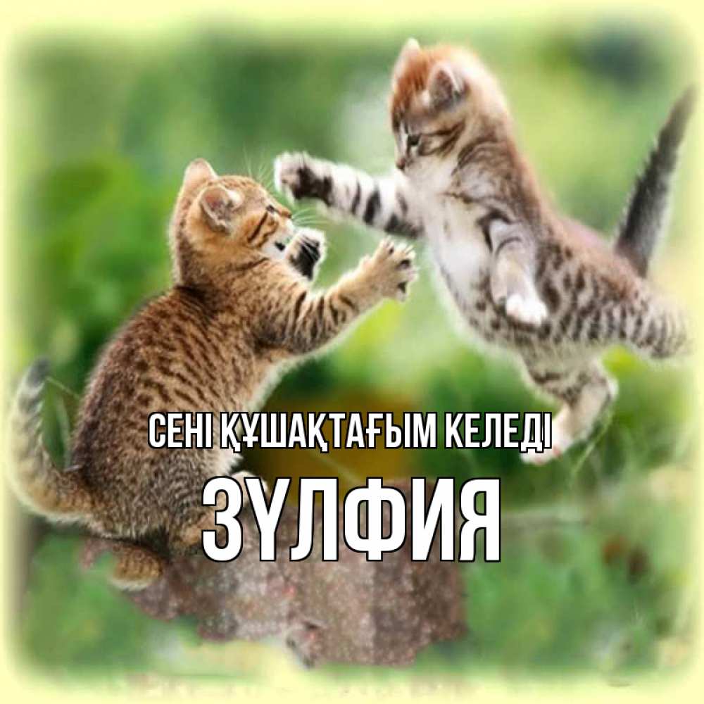 Күн сайын ашық хат с именем, ЗҮЛФИЯ сені құшақтағым келеді игры котят Онлайн тегін жүктеп алу тілектері бар керемет карта 