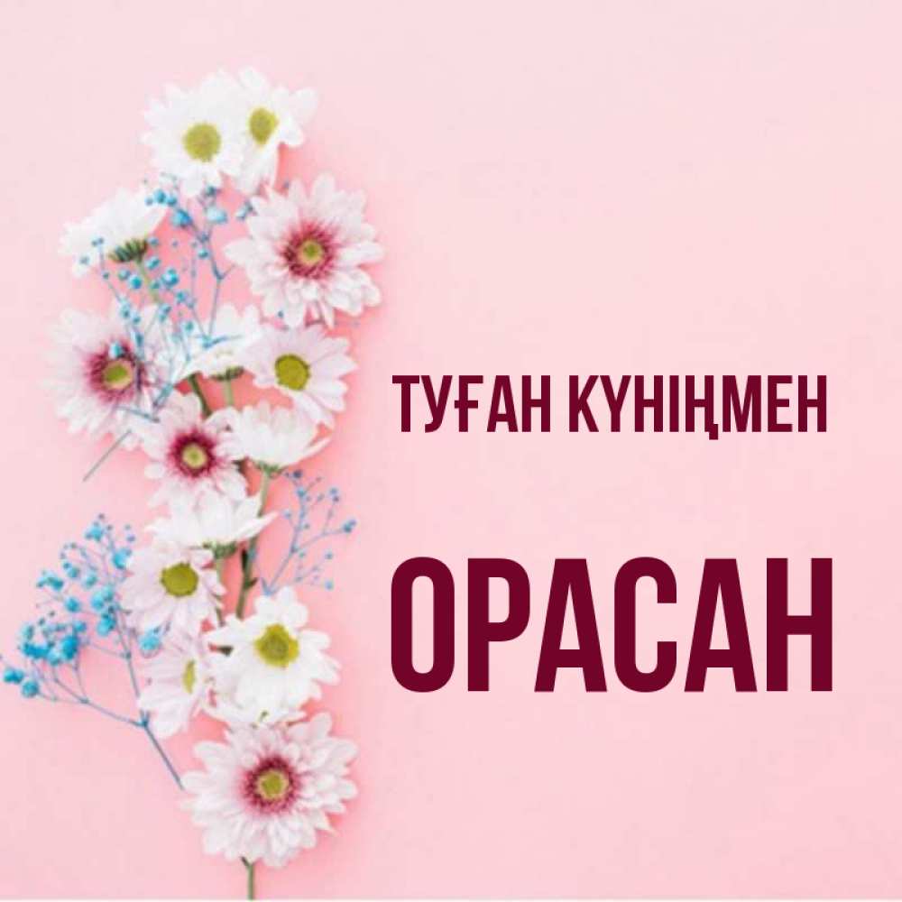 Күн сайын ашық хат с именем, ОРАСАН Туған күніңмен Родная моя с днем рождения тебя картинка с цветами белыми и голубыми Онлайн тегін жүктеп алу тілектері бар керемет карта 